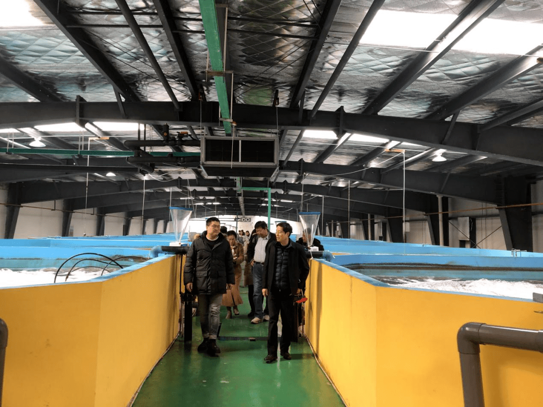 聚焦武漢優(yōu)質蝦苗供應，推動內陸工廠化養(yǎng)殖產(chǎn)業(yè)升級與漁業(yè)技術革新